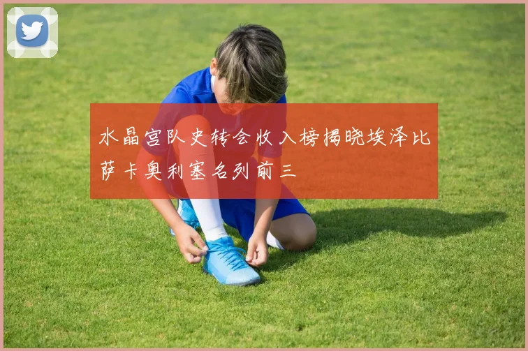 水晶宫队史转会收入榜揭晓埃泽比萨卡奥利塞名列前三
